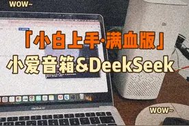 小爱音箱秒变AI神器！秒会DeepSeek满血版本免费接入 免运维视频封面