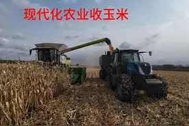 简单教你如何驾驶收割机中的王者，看什么叫现代化农业机械收玉米视频封面