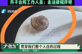 花17000元住月子会所，餐内有虫子和大蜗牛？男子：一直没人出面解决问题，月子会所工作人员：走法律程序吧#媒体精选计划