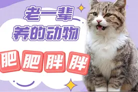 见过邪恶摇粒绒第一次见慈祥摇粒绒，这一看就是被奶奶带大的孩子视频封面