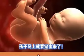 产前一天才知道自己怀孕了#怀孕 #女性 #离谱 #同城 #妇女节视频封面