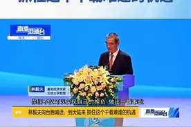 出生在台湾宜兰县的知名经济学家、北京大学教授林毅夫在发言中，深入分析了中国经济的发展态势，并向台湾乡亲，尤其是年轻一代分享了他的心里话。视频封面