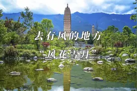 有时间就来《去有风的地方》拍摄地大理，感受“风花雪月”吧！视频封面