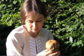 在野山里采摘森林蘑菇，用乡村烤箱烹制三道蘑菇菜肴视频封面