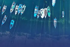 千帆归港！5月1日12点，黄渤海海域正式进入休渔期，确保海洋伏季休渔秩序良好稳定、渔业资源得到休养生息。#山东dou知道