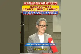 东方起航！在东方投资20个亿! 打造黎族文化个性酒店，让东方起飞！让海南起飞！让中国起飞！预计将于2027年底投入运营 #海南民营企业  #海南自贸港  #海南东方  #建设家乡视频封面