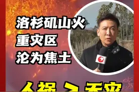 东方卫视驻美记者现场观察：洛杉矶山火重灾区沦为焦土，仅仅是天灾？还是更多源自人祸？#洛杉矶山火 #加利福尼亚州 #美国 #洛杉矶山火因何而发 #王涛峰视频封面