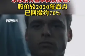 月薪两万 乐歌股份董事长招保镖？股价较2020年高点已回撤约70% #乐歌股份 #招保镖 #汇景控股集团