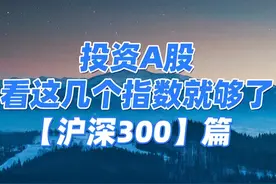 投资A股，看这几个指数就够了之沪深300！#指数 #指数基金视频封面