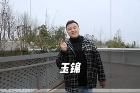 为啥丽雅的改善热度一直居高不下?玉锦你觉得符合改善要求吗？视频封面