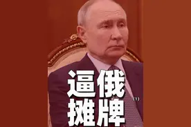 泽连斯基拆穿普京停火假象！逼各方摊牌？#硬核深度计划（1）视频封面