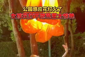 童话里的芭蕾公主走进了现实 @DOU+小助手 视频封面