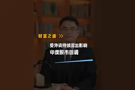 外资撤离，印度大幅回调？ #印度 #财经 #与财同行 #掘金计划2024视频封面