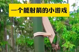 坠落守望者誓约不破 #游戏 #肉鸽 #射击  #塔防