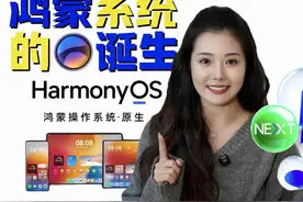 鸿蒙系统与它的诞生#HarmonyOSNEXT  #原生鸿蒙强得飞起视频封面