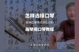 怎样选择口琴 各种口琴特点对比分析 画琴阁口琴教程 #口琴