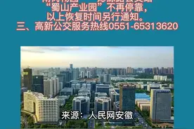 因疫情防控，合肥高新公交部分线路调整视频封面