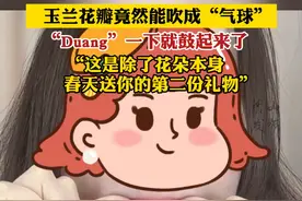 玉兰花瓣竟然能吹成“气球”“Duang”一下就鼓起来了 “这是除了花朵本身 春天送你的第二份礼物”@DOU+小助手 #玉兰花 #气球 #神奇 #春天的礼物 #生活碎片记录视频封面