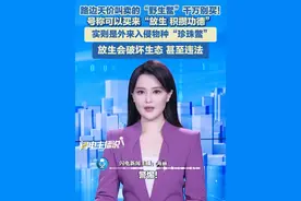 街头天价叫卖的“野生鳖”千万别买！价格成百上千甚至过万，号称可以买来“放生，积攒功德”，实则竟是入侵物种“珍珠鳖”，放生会破坏生态，甚至违法！遇到这种套路怎么办？举报！#野生鳖 #珍珠鳖 #外来物种入侵视频封面