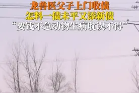 #龙兽医上门要债秒出诊，一债未平又添新债。#龙兽医包里攒满村民70万欠账单：“欠的钱可以慢慢要，但是动物生病了，可是等不得的事情。”#此刻2025视频封面