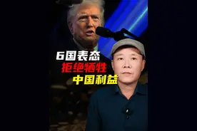 6国明确表态，不会主动降税，特朗普的关税大棒或将落空？ #大白话解读美国关税谈判新动向 #掘金计划2025