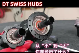 DT SWISS DEG花鼓+FR541车圈：天生山地好帮手