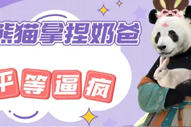 原来四川人真的人手一只大熊猫！这待遇属实是羡慕住了视频封面