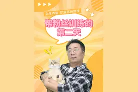 帮粉丝训练猫猫的第二天，猫咪已经适应环境后续持续更新凶猫变乖 #猫咪 #训猫 #养猫人视频封面
