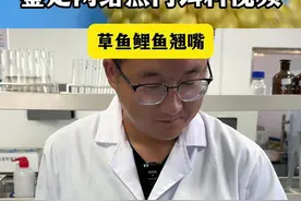 鉴定网络热门配方之（挂钩玉米） 鉴定网络热门配方之（挂钩玉米）视频封面