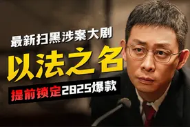 提前锁定2025爆款，《以法之名》太敢拍了！
