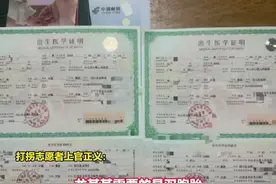 官方称17岁女孩代孕产子属实知情人：女孩坚称未遭胁迫也做了人脸识别  去医院时已临盆 中山市卫生健康局已前往医院调查视频封面
