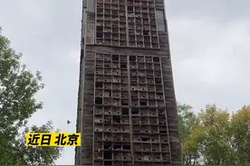 网友实拍奥林匹克公园鸟楼，每个窝里都住着一家鸟儿 网友：鸟住的楼房不用安装电梯了视频封面