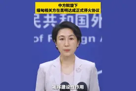 中方斡旋下，缅甸相关方在昆明达成正式停火协议视频封面