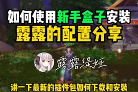 【露露】2分钟用新手盒子安装露露的插件包教程