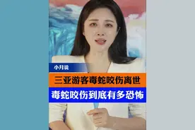 三亚游客毒蛇咬伤离世，毒蛇咬伤到底有多恐怖 #三亚 #毒蛇 #毒蛇咬伤 #小月说 #抖音热评视频封面