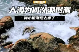 大海为什么会涨潮退潮？这么多的海水，退潮之后会到哪里去呢？ （1）#内容启发搜索 #海水 #涨潮#科普 #涨知识