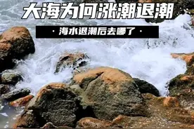 大海为什么会涨潮退潮？这么多的海水，退潮之后会到哪里去呢？ （1）#内容启发搜索 #海水 #涨潮#科普 #涨知识视频封面