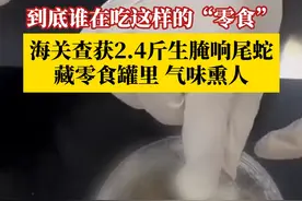 到底谁在吃这样的“零食”？#海关查获24斤生腌响尾蛇 ，藏零食罐里，气味熏人。#海关