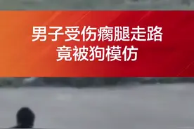 搞笑！男子受伤瘸腿走路 竟被狗模仿#万物皆有灵性 视频封面
