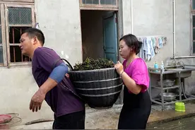 阿琪翻山越岭摘回来的野葡萄，泡制几个月后就可以喝上野葡萄酒了