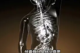 伏羲骨，是什么意思？ #传统文化 #知识 #老六师傅视频封面
