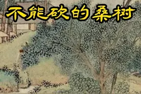 不能砍的桑树(上)#创作者计划  #故事 #古风 #传统文化  @DOU+小助手视频封面