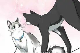 流浪奶牛猫爱上富家千金布偶猫 #二次元 #漫画 #双女主 #gl视频封面