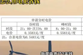 #电价 #分时电价 #电费 #百姓生活 #老百姓关心的话题视频封面