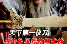 一部经典武侠片，上映时删减30分钟导致看不懂，如今却奉为经典视频封面