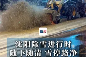 沈阳除雪进行时
随下随清 雪停路净
（记者 常晟罡）视频封面