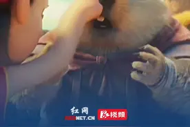 网友看电影《哪吒2》影院不提供免费的3D眼镜，市场监管局：违法！视频封面