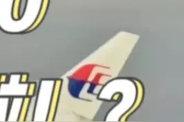 MH370找到了吗#航空 #飞机 #知识 #科普 #冷知识 #英国专家称发现马航mh370 视频封面