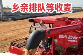 今天去地头收麦子出现点小状况，收拾完抓紧干活，乡亲们还在排队 #我的乡村生活 #新农人计划2025 #乡村守护人 #女农机手 #夏收时刻视频封面