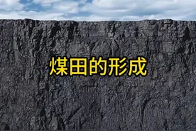 煤层厚达900米，绵延上千公里！世界最大的煤田是植物形成的视频封面